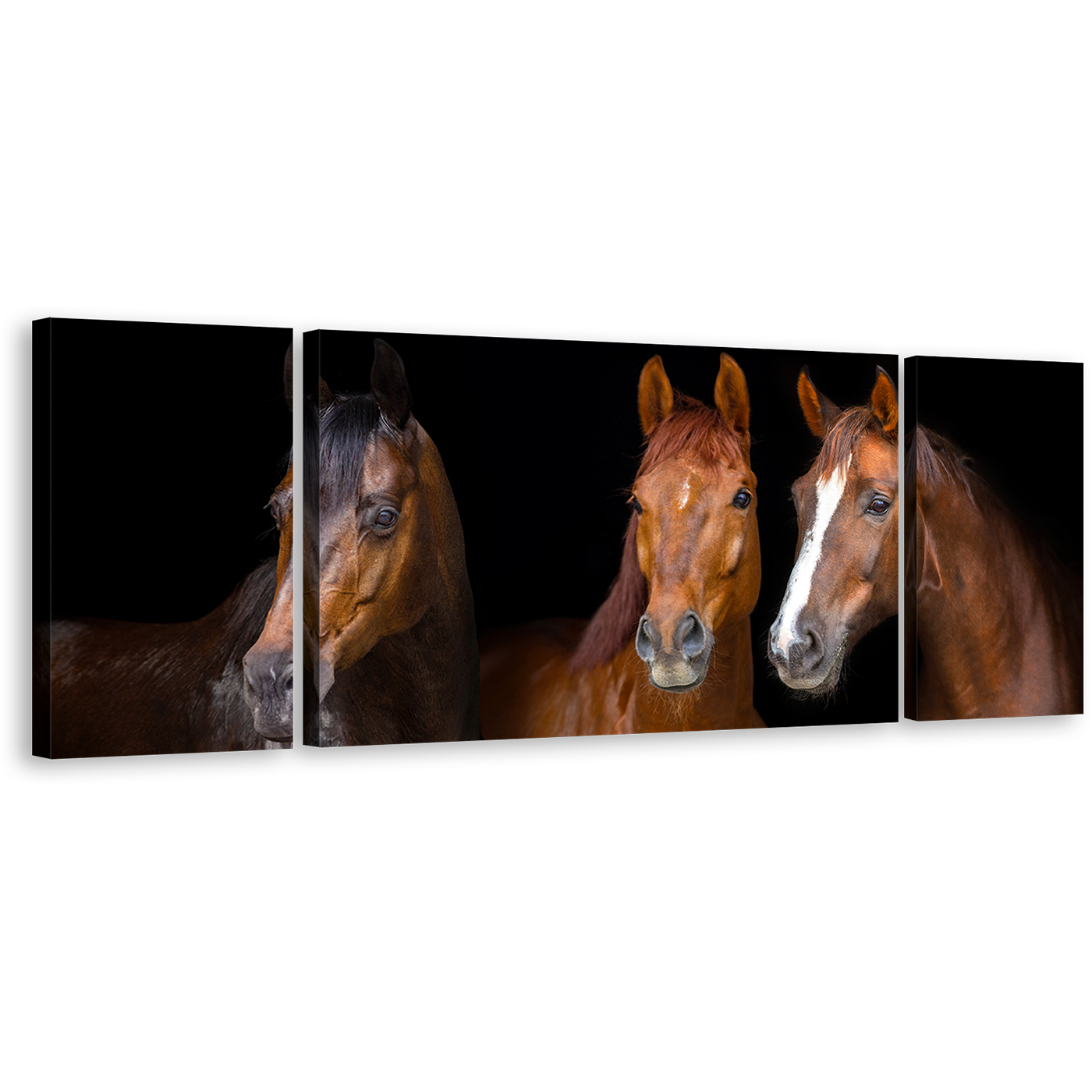 Isolated Horses Canvas Wall Art, Isolated Brown Horses 3 Piece Multiple Canvas, Horses Black Background Triptych Canvas Print