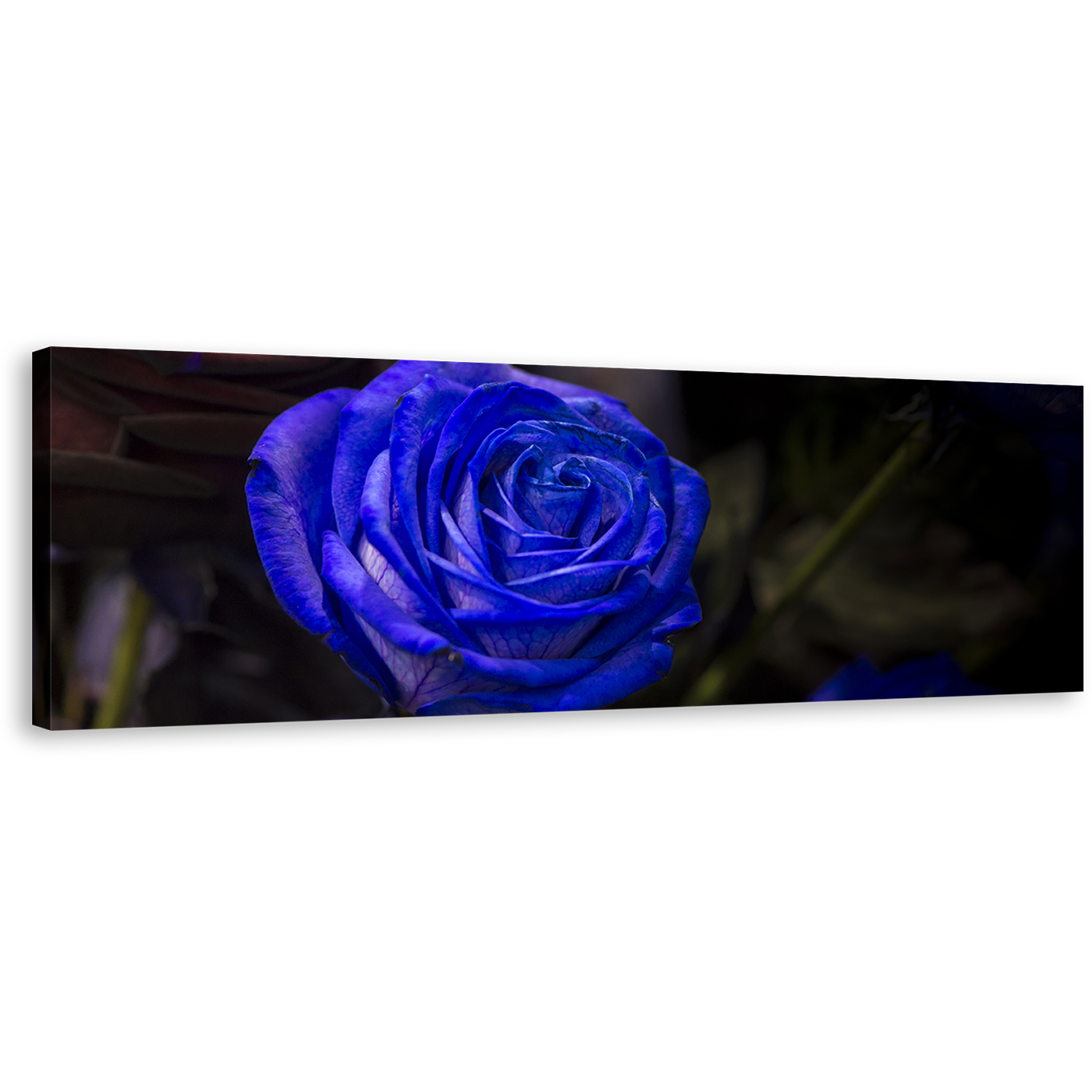 Isolated Rose Canvas Wall Art, Blue Flowers Digital Painting 1 Piece Canvas, Beautiful Floral Canvas Print