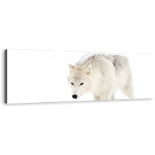 Load image into Gallery viewer, Isolated Wolf Canvas Print, White Wolf Close Up 1 Piece Canvas Wall Art, Wolf Snow Wide Canvas
