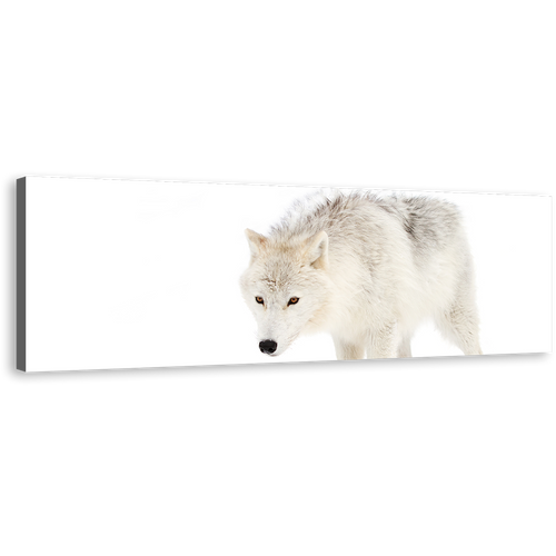 Isolated Wolf Canvas Print, White Wolf Close Up 1 Piece Canvas Wall Art, Wolf Snow Wide Canvas