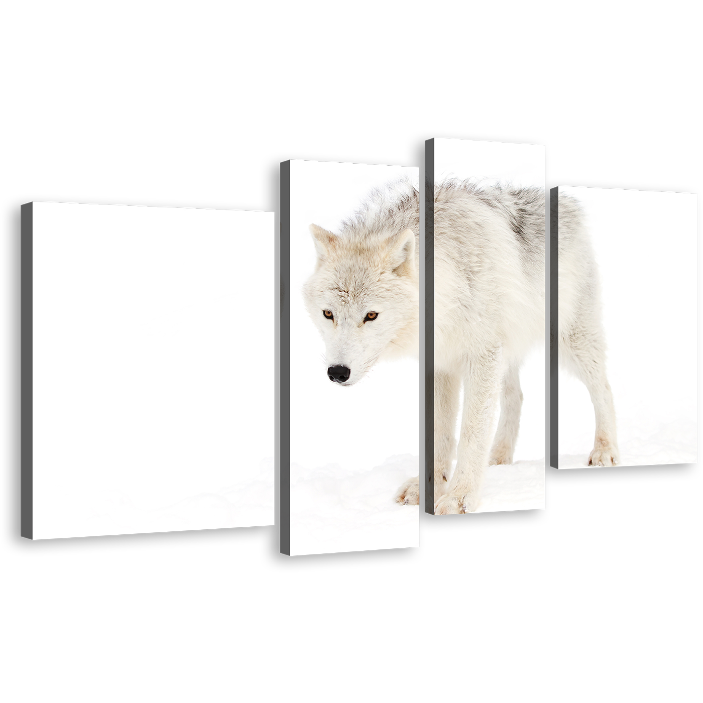 Isolated Wolf Canvas Wall Art, White Wolf Walking 4 Piece Canvas, Arctic Animal Canvas Print