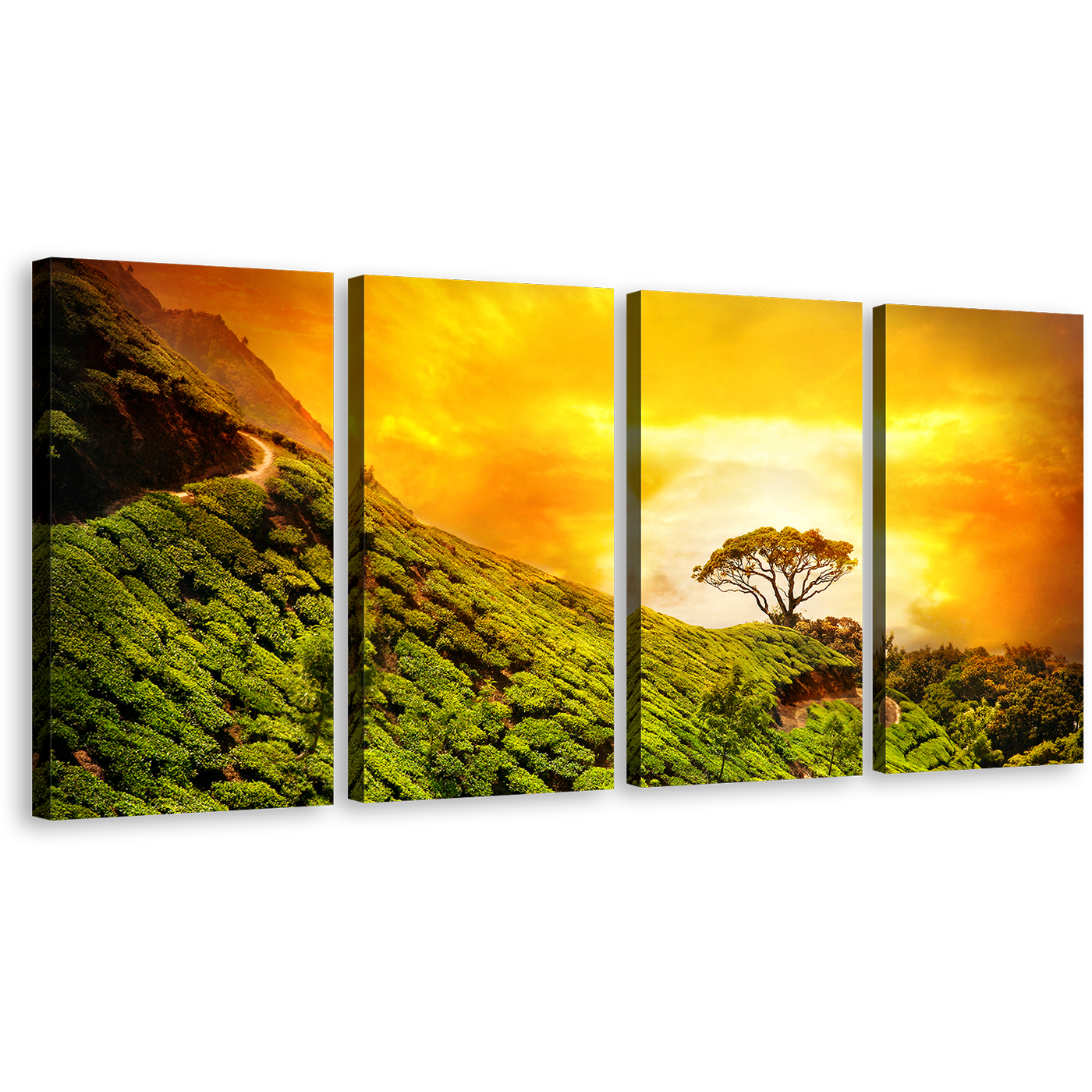 Kerala Landscape Canvas Wall Art, Green Alone Tree 4 Piece Multi Canvas, Yellow Sky Kerala Alone Tree Canvas Print