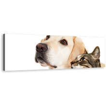 Load image into Gallery viewer, Labrador Dog Canvas Wall Art, White Background Dog and Cat 1 Piece Canvas Print, Brown Cat Isolated Wide Canvas
