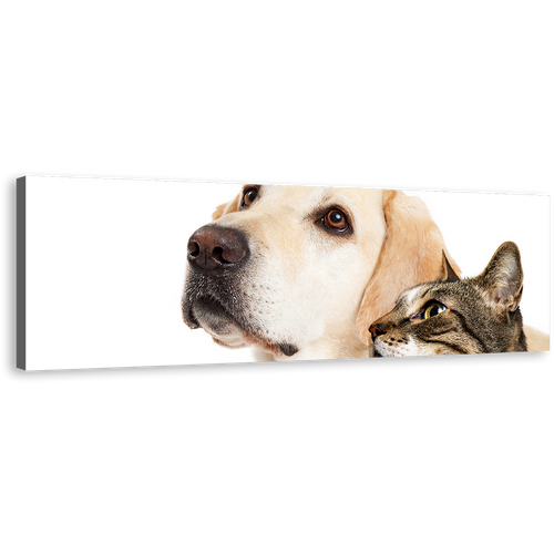 Labrador Dog Canvas Wall Art, White Background Dog and Cat 1 Piece Canvas Print, Brown Cat Isolated Wide Canvas