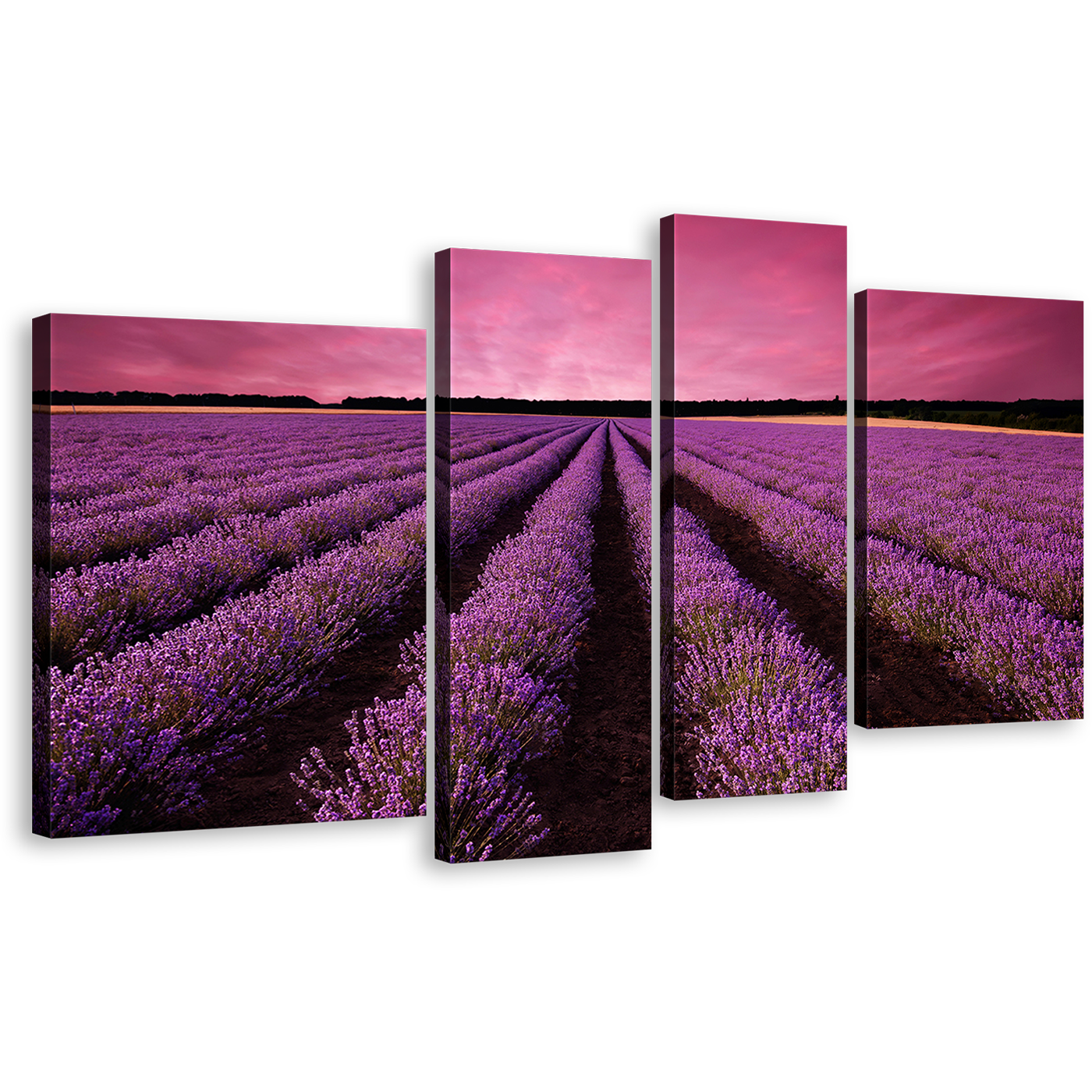 Lavender Fields Canvas Wall Art, Purple Fields Scenery Sunrise 4 Piece Multi Canvas, Beautiful Black Valensole Plateau Landscape Canvas Print