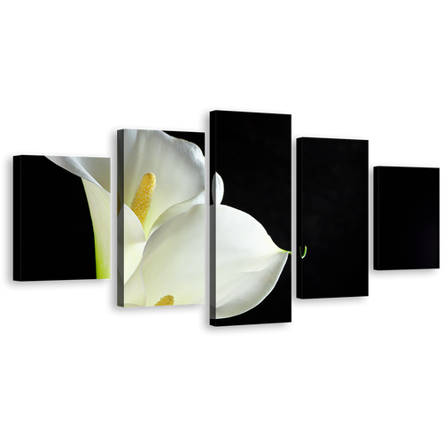 Lily Floral Canvas Wall Art, Black Background Isolated Flower 5 Piece Canvas Print, White Calla Lilies Canvas Set