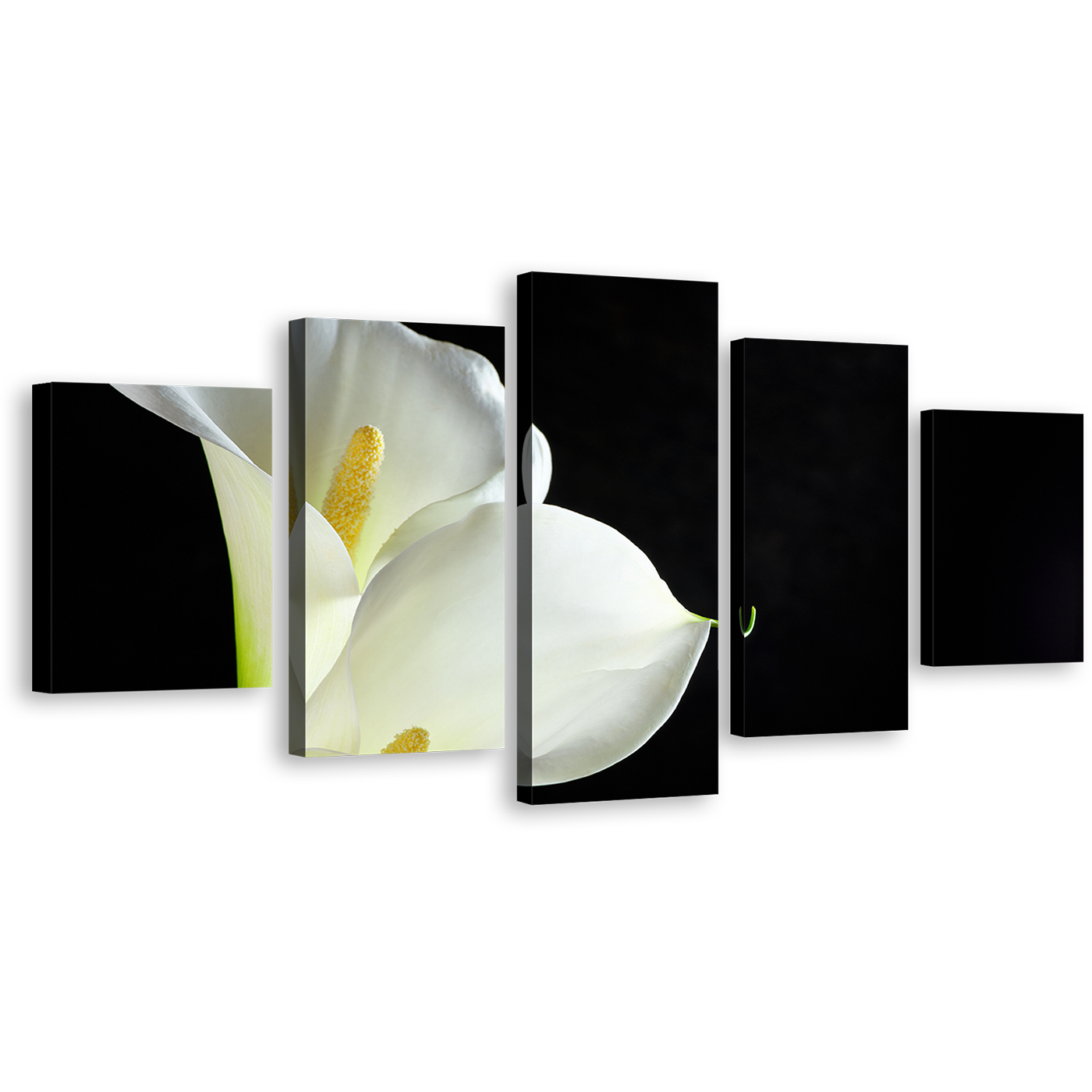 Lily Floral Canvas Wall Art, Black Background Isolated Flower 5 Piece Canvas Print, White Calla Lilies Canvas Set