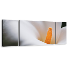 Load image into Gallery viewer, Lily Flower Canvas Wall Art, Yellow Flower Head Multiple Canvas, White Calla Lily Blossom 3 Piece Canvas Print
