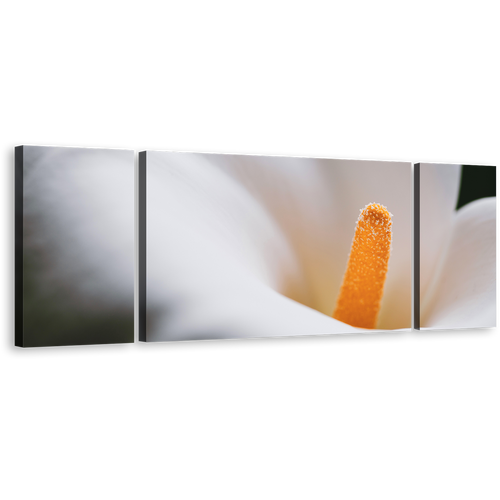 Lily Flower Canvas Wall Art, Yellow Flower Head Multiple Canvas, White Calla Lily Blossom 3 Piece Canvas Print