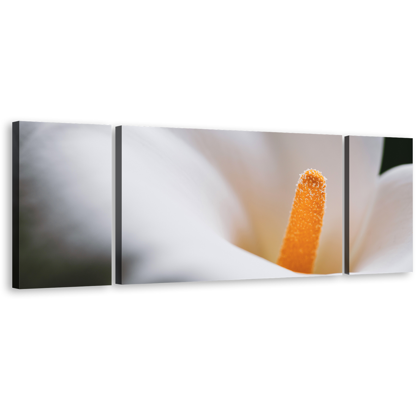 Lily Flower Canvas Wall Art, Yellow Flower Head Multiple Canvas, White Calla Lily Blossom 3 Piece Canvas Print