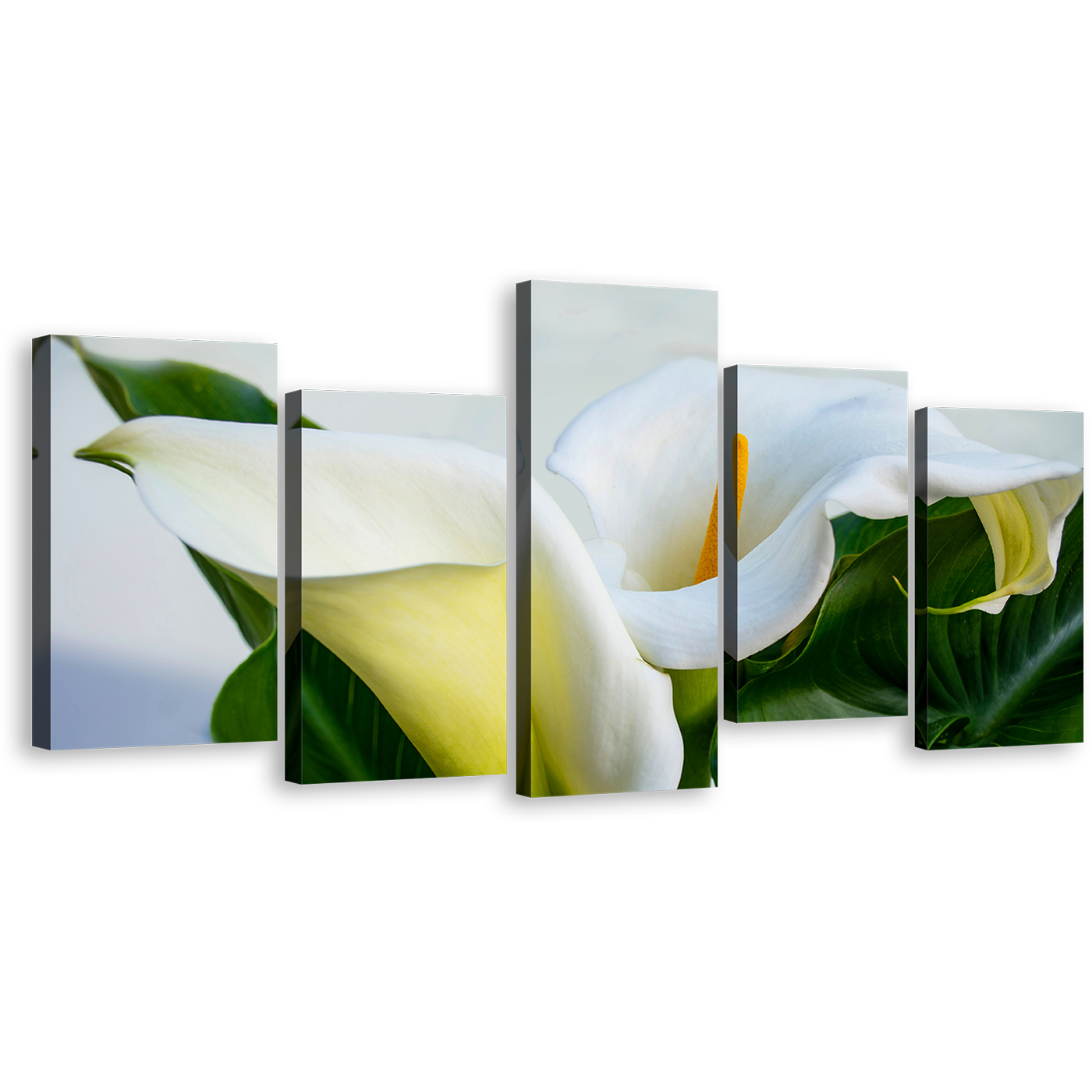 Lily Flowers Canvas Print, White Arum Lily 5 Piece Canvas Wall Art, Zantedeschia Aethiopica Green Leaves Floral Multi Canvas Artwork