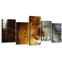 Load image into Gallery viewer, Lion Animal Canvas Wall Art, Lion Nature Background 5 Piece Canvas Print, Yellow Orange Lion Profile Multi Canvas Artwork
