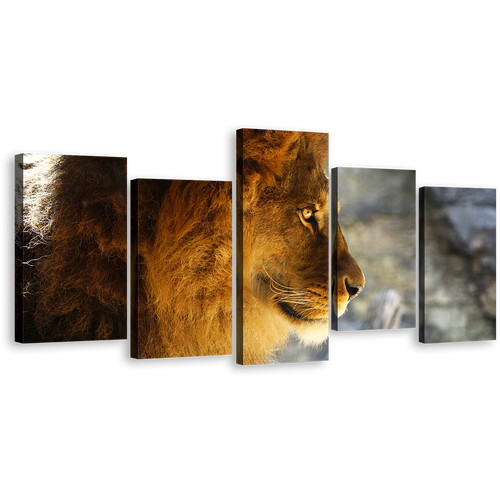 Lion Animal Canvas Wall Art, Lion Nature Background 5 Piece Canvas Print, Yellow Orange Lion Profile Multi Canvas Artwork