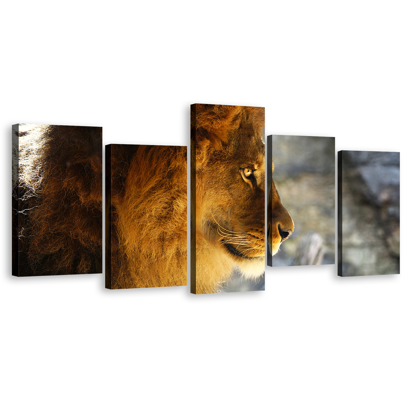 Lion Animal Canvas Wall Art, Lion Nature Background 5 Piece Canvas Print, Yellow Orange Lion Profile Multi Canvas Artwork