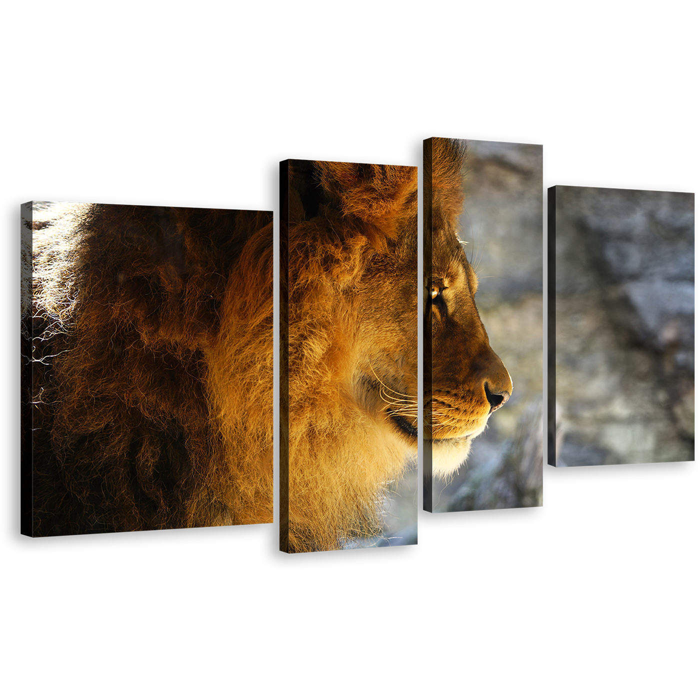 Lion Profile Canvas Print, Yellow Orange Lion Head 4 Piece Canvas Wall Art, Wild Cat Animal Multiple Canvas