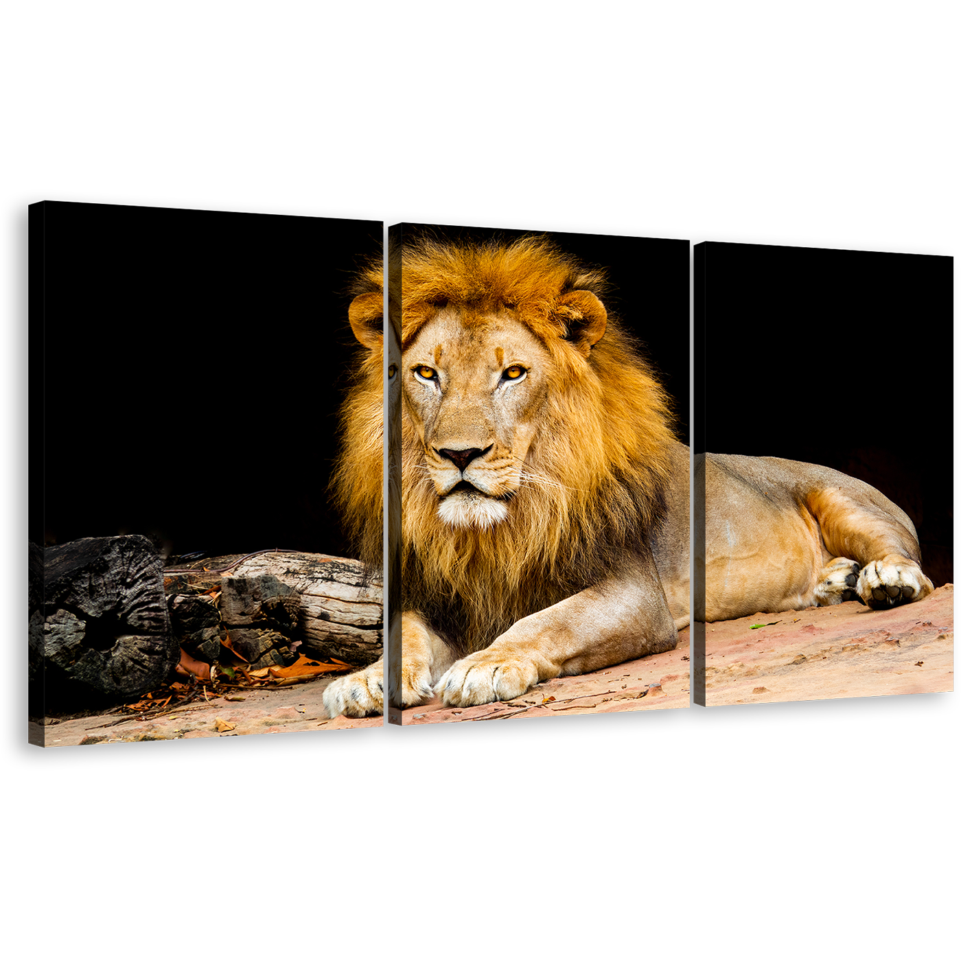 Lion Sitting Canvas Wall Art, Yellow Orange Lion Animal Portrait 3 Piece Canvas, King of The Jungle Canvas Print