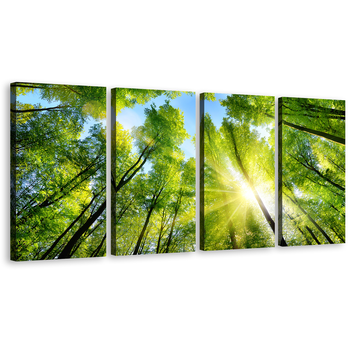 Looking Up Canvas Print, Green Trees Autumn Forest Wall Art, Beautiful Yellow Sunrise Sky Nature Multiple Canvas