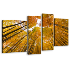 Load image into Gallery viewer, Looking Up Canvas Print, Orange Yellow Trees Autumn Forest 4 Piece Multi Panel Canvas, Looking Up Through Forest Canvas Wall Art
