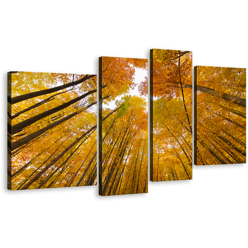 Looking Up Canvas Print, Orange Yellow Trees Autumn Forest 4 Piece Multi Panel Canvas, Looking Up Through Forest Canvas Wall Art