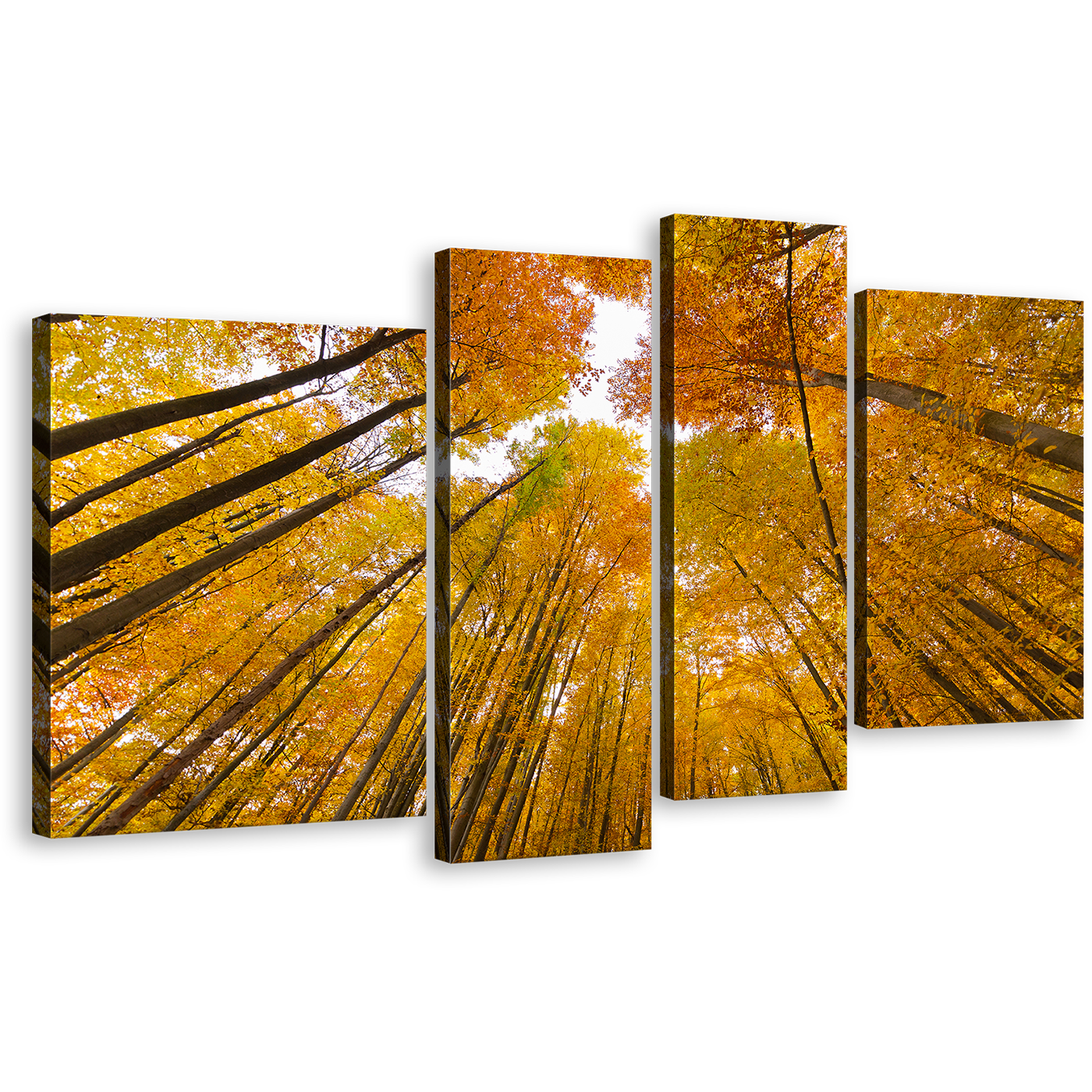 Looking Up Canvas Print, Orange Yellow Trees Autumn Forest 4 Piece Multi Panel Canvas, Looking Up Through Forest Canvas Wall Art