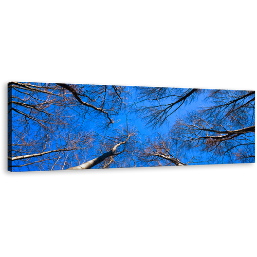 Looking Up Wall Art, Beautiful Brown Tree Branches Canvas Print, Trees Autumn at Blue Sky Panoramic Canvas