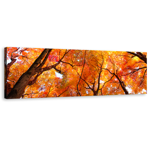 Looking Up Wall Art, Brown Trees Branches Canvas Art, Looking Up Orange Trees Forest 1 Piece Canvas Print