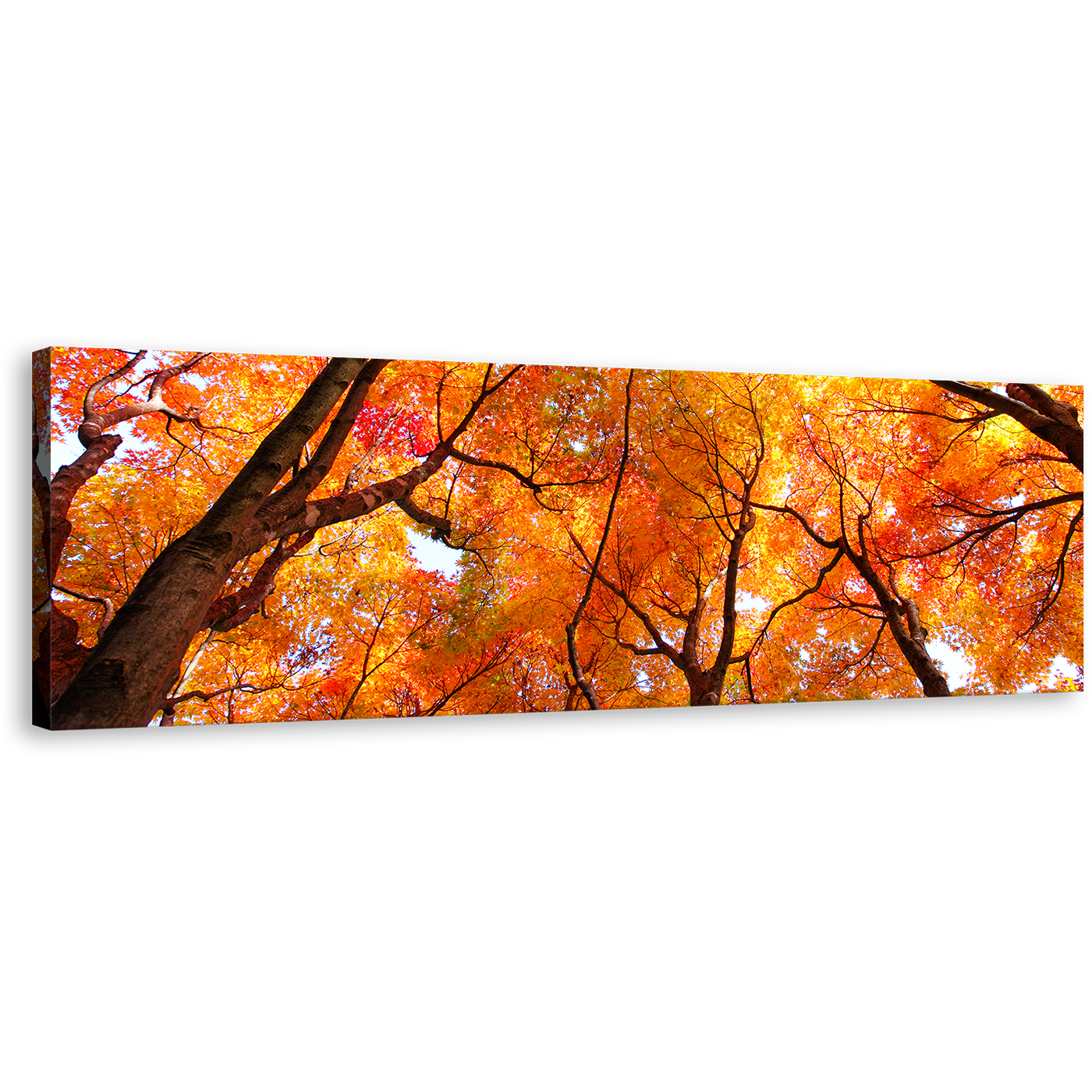 Looking Up Wall Art, Brown Trees Branches Canvas Art, Looking Up Orange Trees Forest 1 Piece Canvas Print