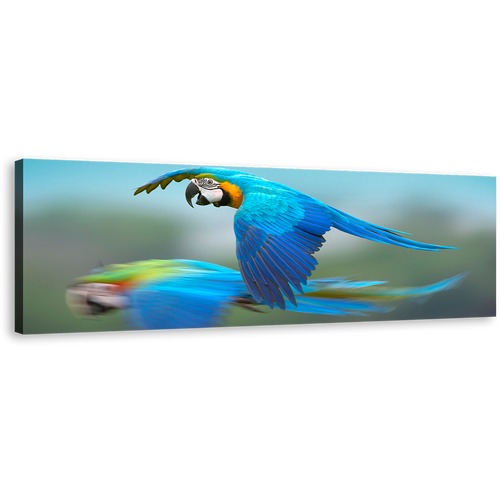 Macaw Flying Canvas Wall Art, Blue Exotic Parrot 1 Piece Canvas Print, Colorful Parrot Flying Canvas Artwork