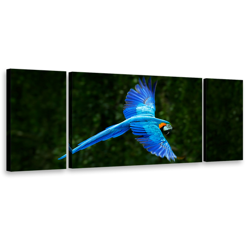 Macaw Parrot Canvas Wall Art, Blue Flying Bird 3 Piece Multiple Canvas, Green Forest Background Triptych Canvas Print