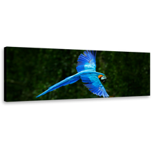 Load image into Gallery viewer, Macaw Parrot Canvas Wall Art, Blue Flying Bird Panoramic Canvas Print, Green Forest Background 1 Piece Canvas
