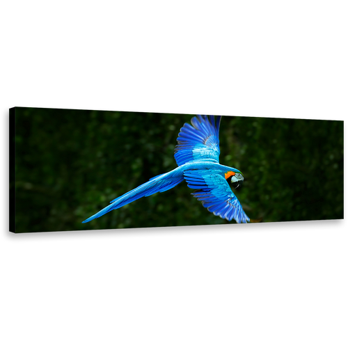 Macaw Parrot Canvas Wall Art, Blue Flying Bird Panoramic Canvas Print, Green Forest Background 1 Piece Canvas