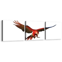 Load image into Gallery viewer, Macaw Parrot Canvas Wall Art, White Background Bird 3 Piece Canvas Set, Red Parrot Flying Triptych Canvas Print
