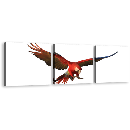 Macaw Parrot Canvas Wall Art, White Background Bird 3 Piece Canvas Set, Red Parrot Flying Triptych Canvas Print