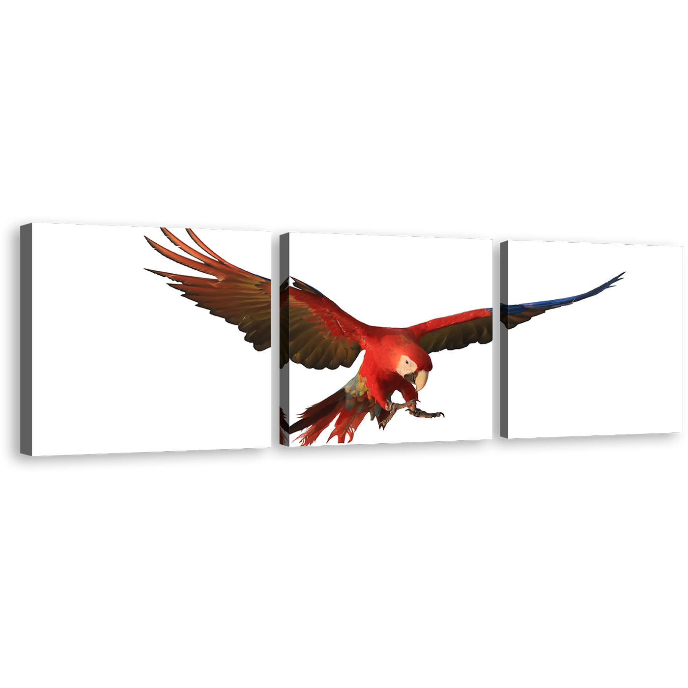 Macaw Parrot Canvas Wall Art, White Background Bird 3 Piece Canvas Set, Red Parrot Flying Triptych Canvas Print