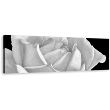 Load image into Gallery viewer, Monochrome Flower Canvas Wall Art, White Rose Blossom Canvas Print, Black Background Flowering Blooming Panoramic Canvas
