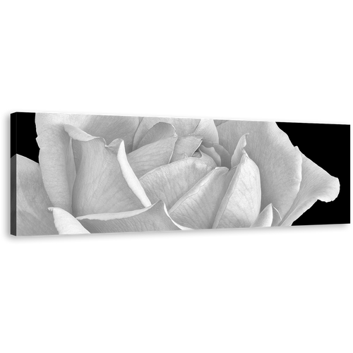 Monochrome Flower Canvas Wall Art, White Rose Blossom Canvas Print, Black Background Flowering Blooming Panoramic Canvas