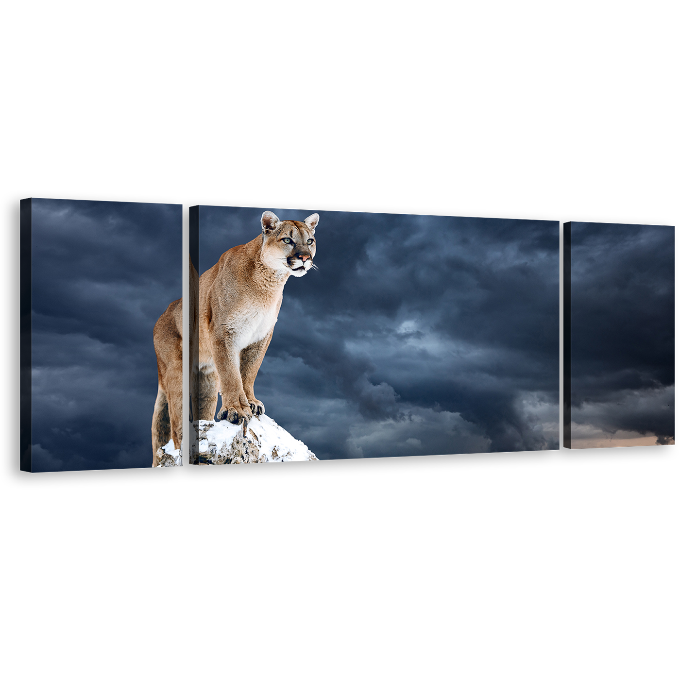 Mountain Lion Canvas Print, Cougar White Mountain Sky Triptych Canvas Set, Brown Puma Animal 3 Piece Canvas Wall Art