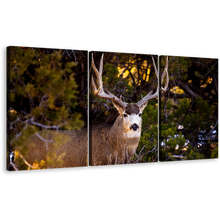 Load image into Gallery viewer, Mule Deer Canvas Wall Art, Brown Deer Wildlife 3 Piece Canvas, Deer Green Scenery Canvas Print
