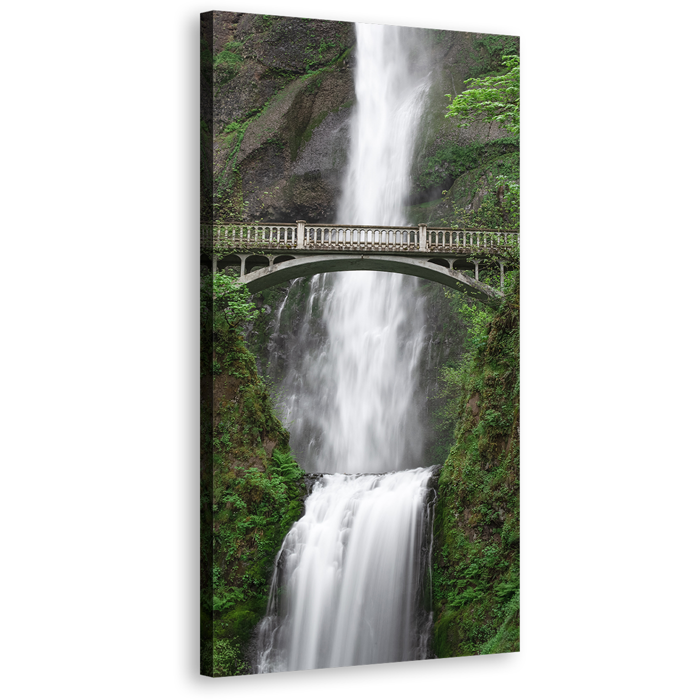 Multnomah Waterfall Canvas Wall Art, White Waterfall in Oregon Vertical Canvas Print, Green Trees Forest Scenery Waterfall Wide Canvas