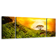 Load image into Gallery viewer, Munnar Landscape Canvas Print, Yellow Sky Kerala Alone Tree Canvas Set, Green Alone Tree 3 Piece Canvas Wall Art
