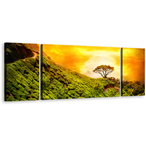 Munnar Landscape Canvas Print, Yellow Sky Kerala Alone Tree Canvas Set, Green Alone Tree 3 Piece Canvas Wall Art