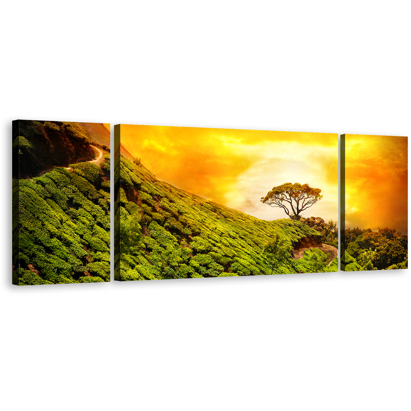 Munnar Landscape Canvas Print, Yellow Sky Kerala Alone Tree Canvas Set, Green Alone Tree 3 Piece Canvas Wall Art