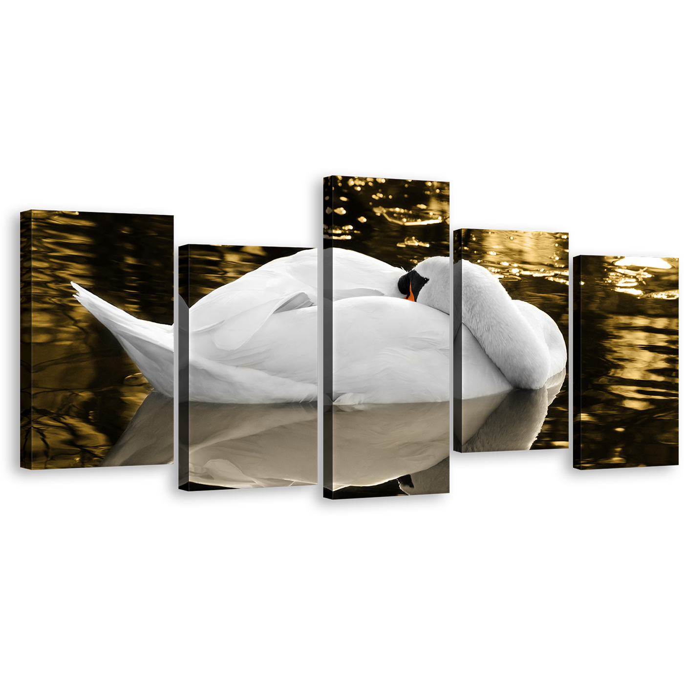 Mute Swan Canvas Wall Art, Sleeping White Swan Reflection 5 Piece Canvas Set, Yellow Lake Resting Bird Canvas Print