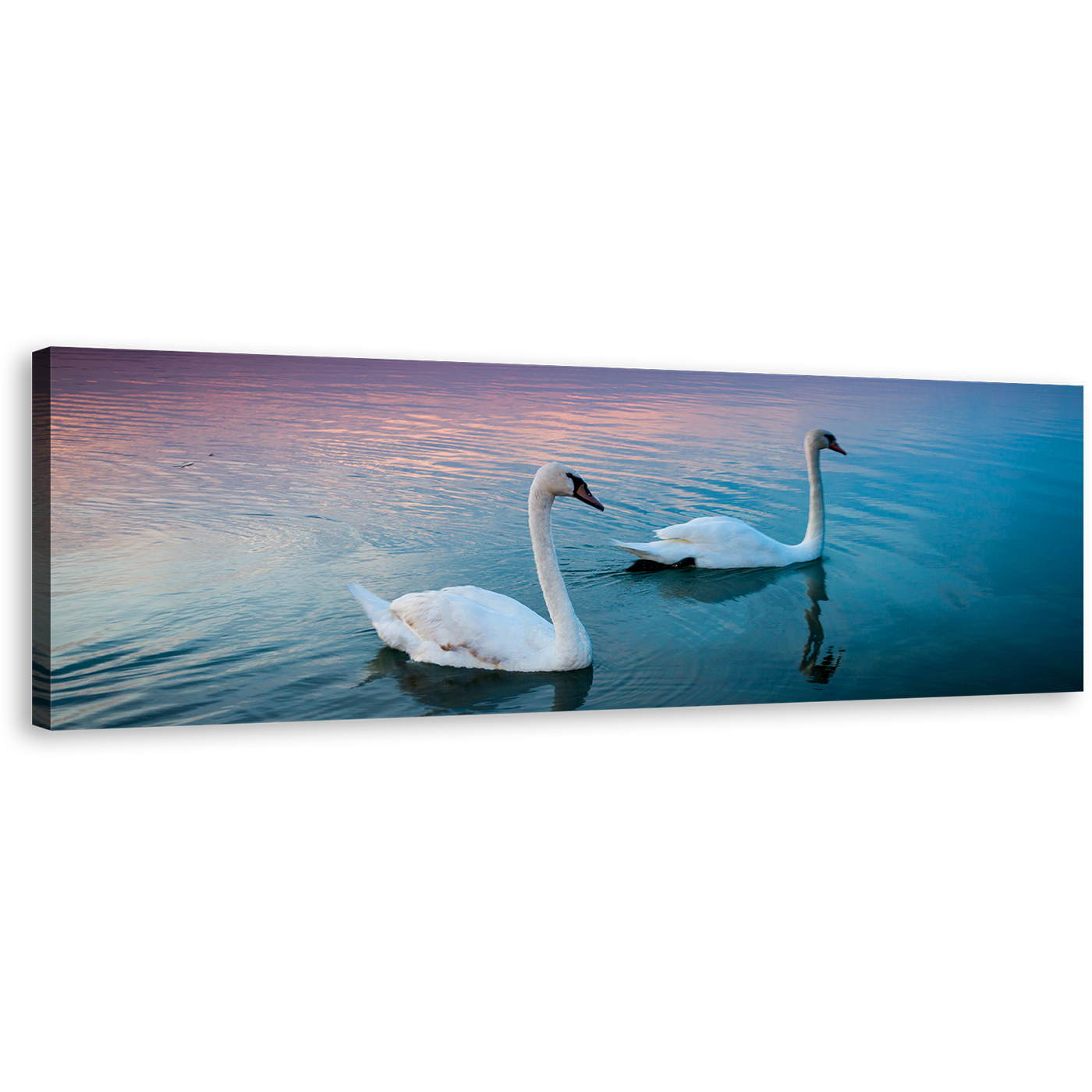 Mute Swan Wall Art, Beautiful White Birds Couple Swimming 1 Piece Canvas Art, Balaton Blue Lake Canvas Print