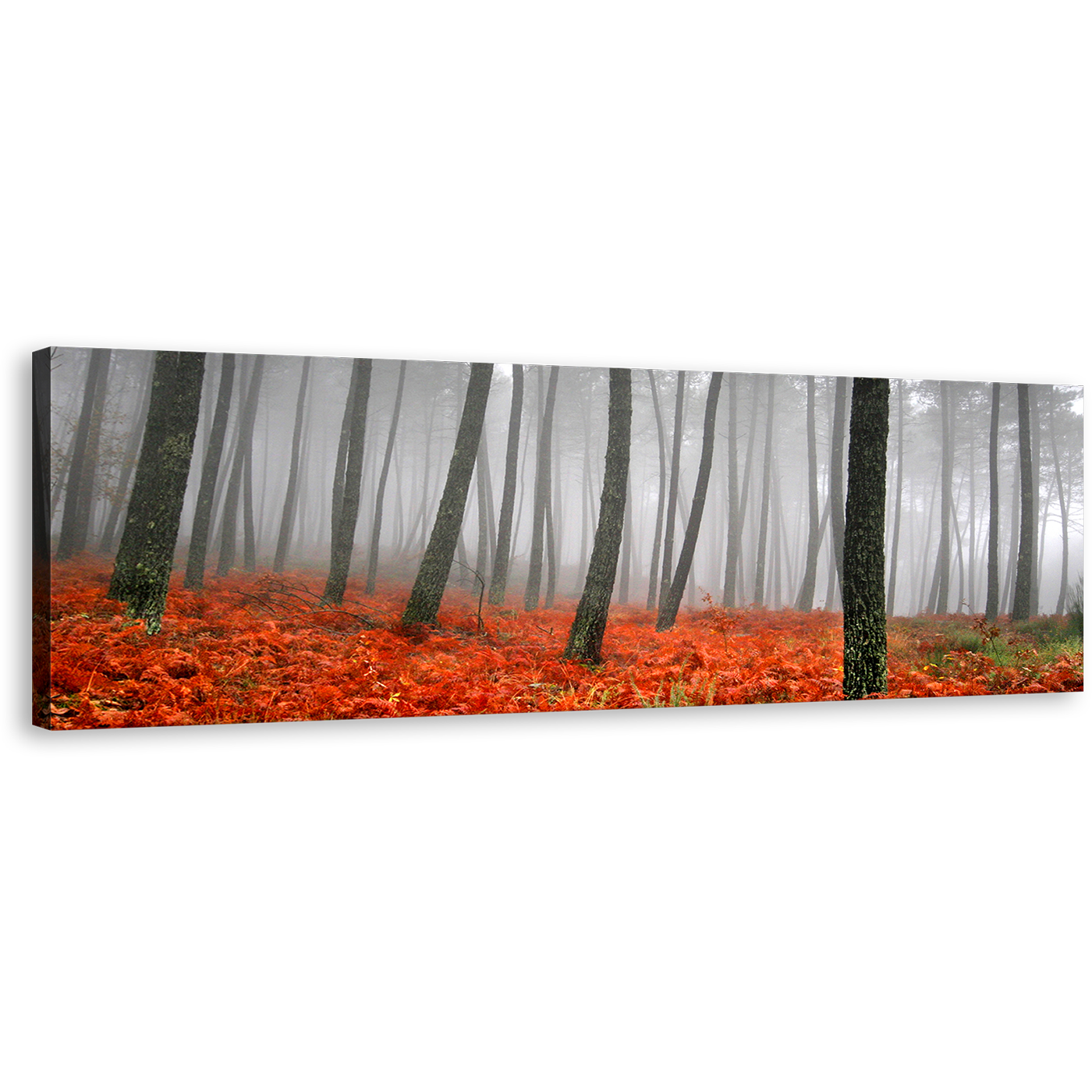 Mystic Forest Wall Art, Contemporary Charcoal Sunlight Canvas Art, Red Grass Grey Rain Panoramic Canvas Print