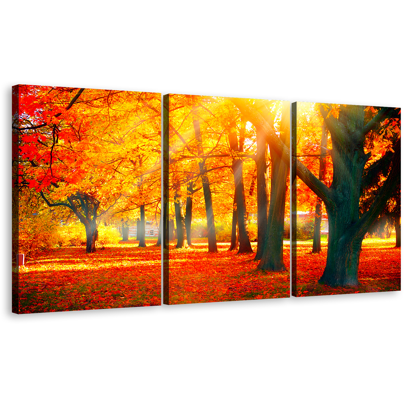 Nature Scenery Canvas Print, Red Autumn Fall Nature Scenery Triptych Multi Canvas, Yellow Sunbeam Trees Forest 3 Piece Canvas Wall Art