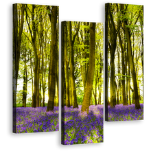 Load image into Gallery viewer, Oxfordshire Forest Canvas Wall Art, Blooming Bluebells in Deep Woodlands 3 Piece Canvas, Sunbeams Through Purple Green Forest Triptych Canvas Print
