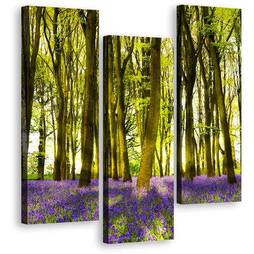 Oxfordshire Forest Canvas Wall Art, Blooming Bluebells in Deep Woodlands 3 Piece Canvas, Sunbeams Through Purple Green Forest Triptych Canvas Print