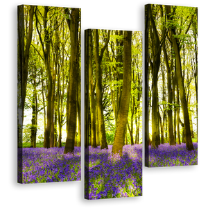 Oxfordshire Forest Canvas Wall Art, Blooming Bluebells in Deep Woodlands 3 Piece Canvas, Sunbeams Through Purple Green Forest Triptych Canvas Print
