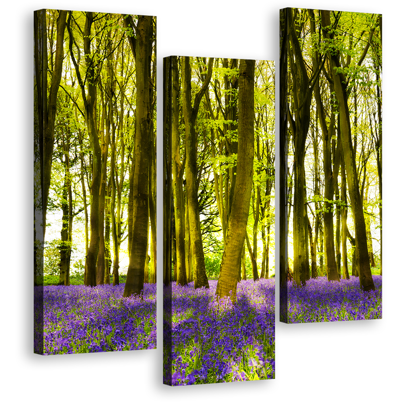 Oxfordshire Forest Canvas Wall Art, Blooming Bluebells in Deep Woodlands 3 Piece Canvas, Sunbeams Through Purple Green Forest Triptych Canvas Print